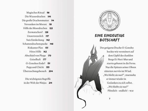 Produktbild: Dragon Ninjas, Band 6 - Der Drache des Wassers