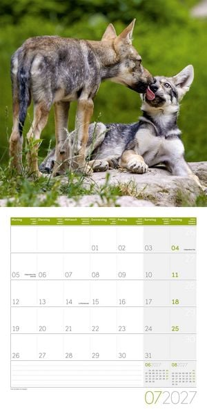 Produktbild: W&ouml;lfe Kalender 2027 - 30x30 - Art12