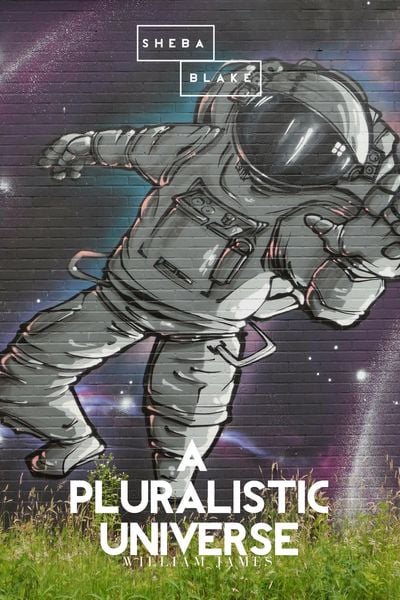 Produktbild: A Pluralistic Universe