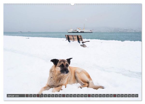 Produktbild: Istanbul - Faszinierend und Verwirrend (Wandkalender 2026 DIN A2 quer), CALVENDO Monatskalender
