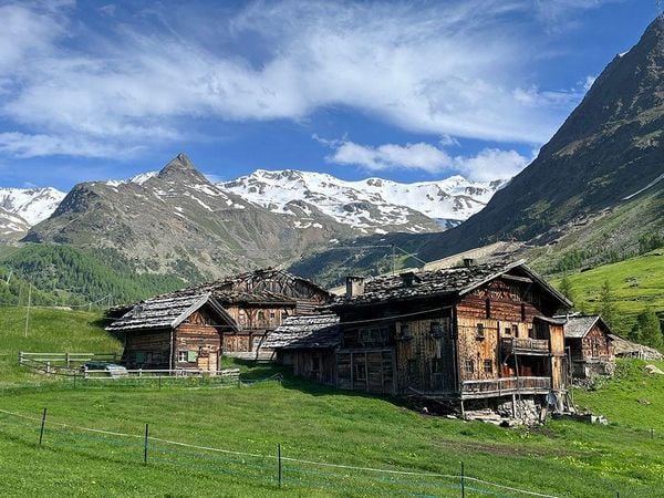 Produktbild: Der Alpen-Appell