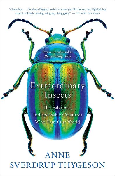 Produktbild: Extraordinary Insects