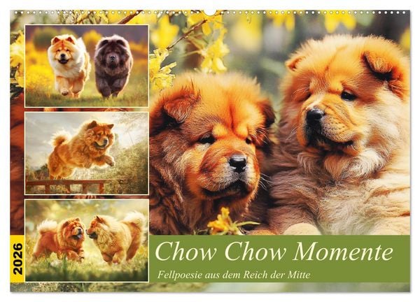 Produktbild: Chow Chow Momente. Fellpoesie aus dem Reich der Mitte (Wandkalender 2026 DIN A2 quer), CALVENDO Monatskalender