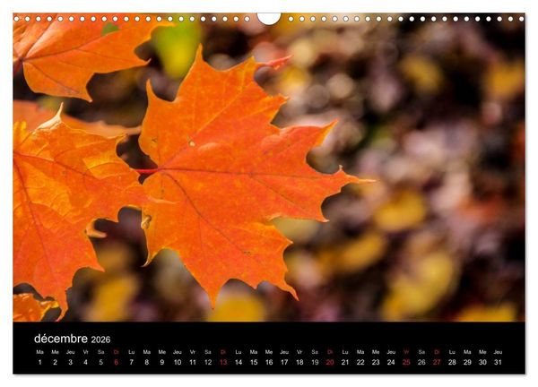 Produktbild: Paysages d'Automne au Qu&eacute;bec (Calendrier mural 2026 DIN A3 vertical), CALVENDO calendrier mensuel