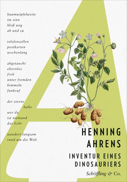 Inventur eines Dinosauriers, Gebundene Ausgabe von Henning Ahrens, Schöffling, 978-3-690-97027-3