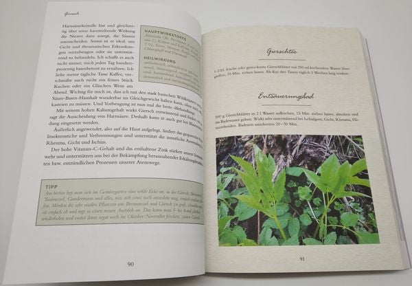 Produktbild: Meine Wildkr&auml;uter