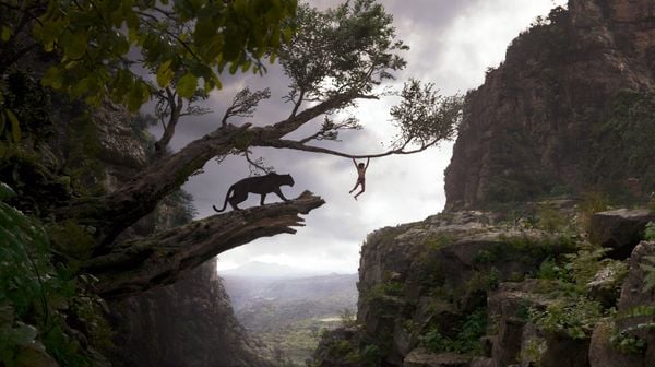 Produktbild: The Jungle Book (4K Ultra HD) (+ Blu-ray 2D)