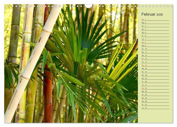 Produktbild: BAMBUS (Wandkalender 2026 DIN A3 quer), CALVENDO Monatskalender