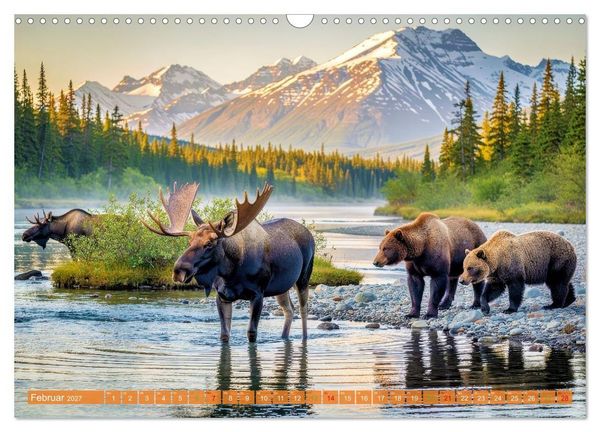 Produktbild: Elche und B&auml;ren in Alaska (Wandkalender 2027 DIN A3 quer), CALVENDO Monatskalender