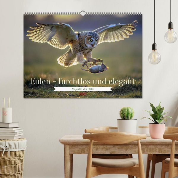 Produktbild: Eulen - furchtlos und elegant (Wandkalender 2027 DIN A2 quer), CALVENDO Monatskalender