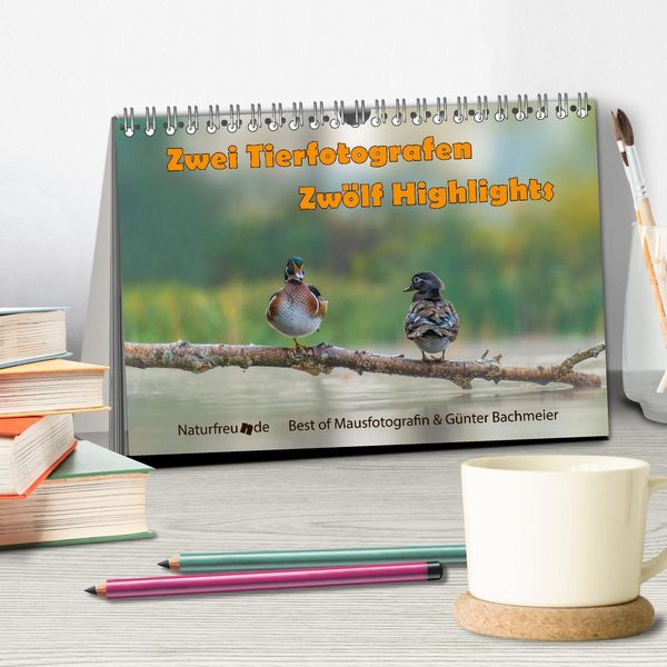 Produktbild: Zwei Tierfotografen Zw&ouml;lf Highlights (Tischkalender 2026 DIN A5 quer), CALVENDO Monatskalender
