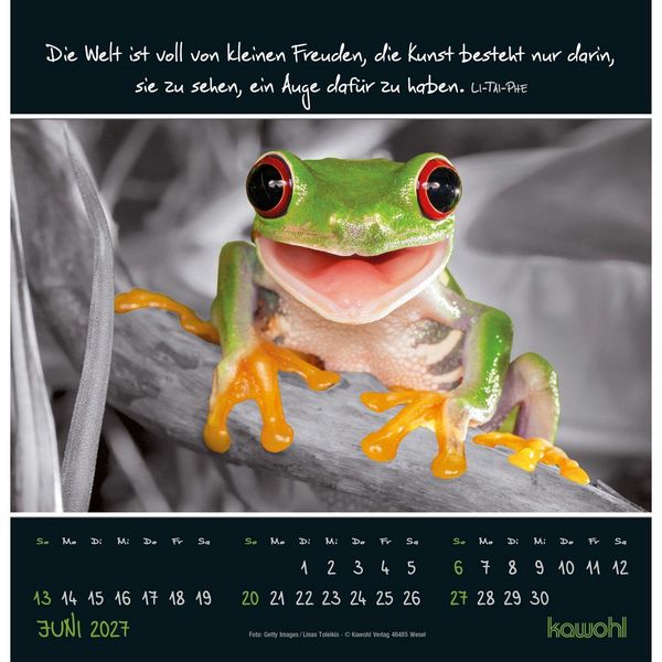 Produktbild: Kleine Wunder entdecken 2027