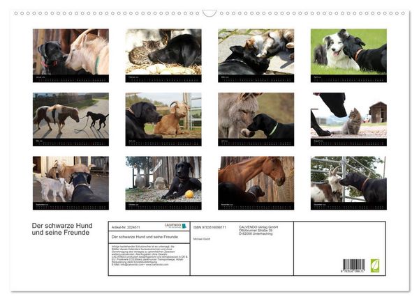Produktbild: Der schwarze Hund und seine Freunde (Wandkalender 2026 DIN A2 quer), CALVENDO Monatskalender