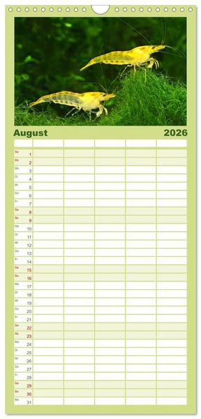 Produktbild: Familienplaner 2026 - Dwarf Shrimps mit 5 Spalten (Wandkalender, 21 x 45 cm) CALVENDO