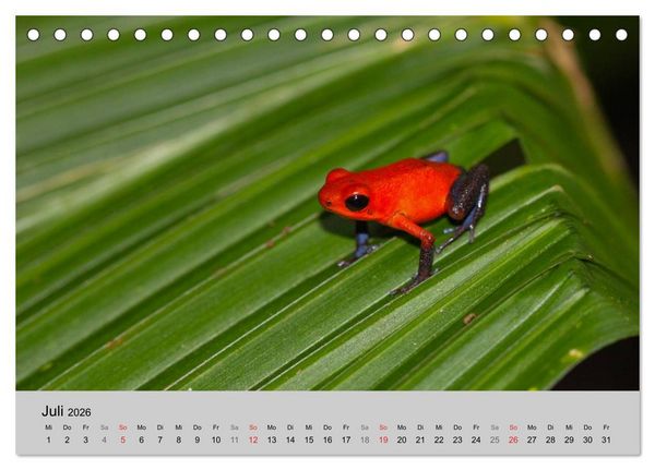 Produktbild: Costa Rica (Tischkalender 2026 DIN A5 quer), CALVENDO Monatskalender