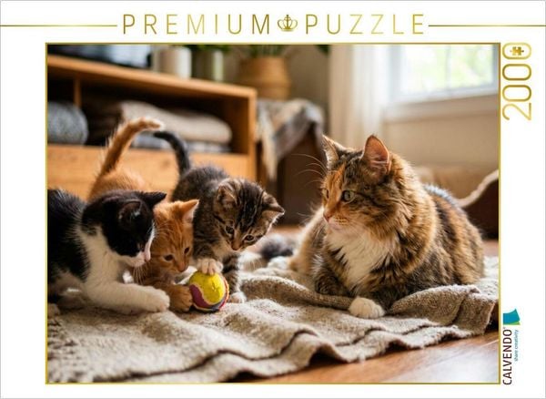 CALVENDO Puzzle Kätzchen spielen mit dem Ball | 2000 Teile Lege-Größe 90x67cm Foto-Puzzle für glückliche Stunden