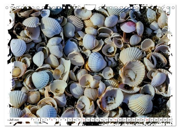 Produktbild: Zingst Sehnsucht nach Meer (Wandkalender 2026 DIN A4 quer), CALVENDO Monatskalender