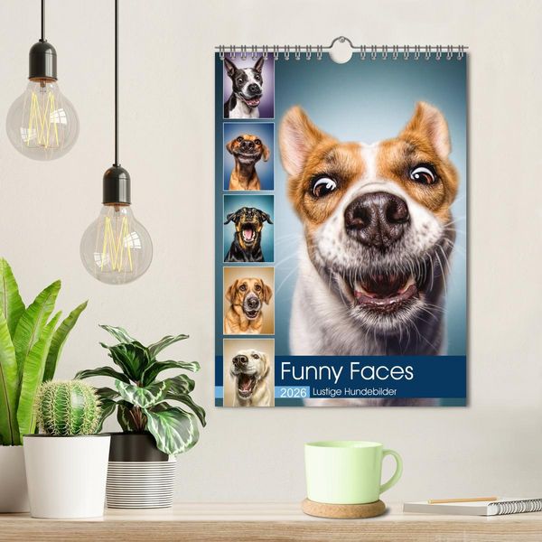 Produktbild: Funny Faces - Lustige Hundebilder (Wandkalender 2026 DIN A4 hoch), CALVENDO Monatskalender