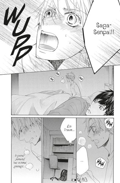 Produktbild: Sekaiichi Hatsukoi 13