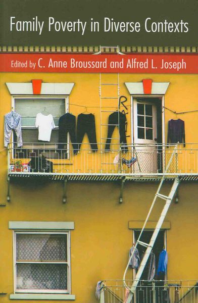 Produktbild: Family Poverty in Diverse Contexts