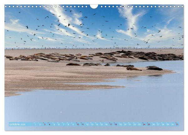 Produktbild: Les Hauts-de-France (Calendrier mural 2026 DIN A3 vertical), CALVENDO calendrier mensuel