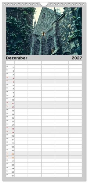 Produktbild: Familienplaner 2027 - Schattenkuss - Tiere in den Armen der Nacht mit 5 Spalten (Wandkalender, 21 x 45 cm) CALVENDO