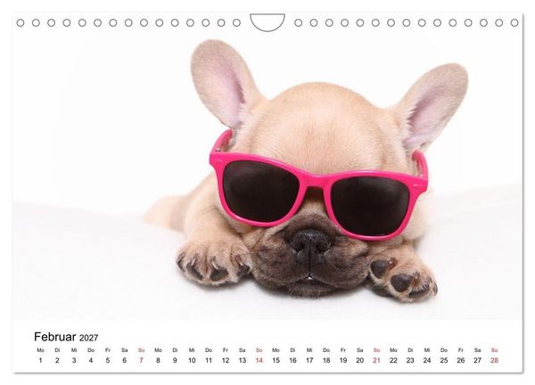 Produktbild: Funny Dogs (Wandkalender 2027 DIN A4 quer), CALVENDO Monatskalender