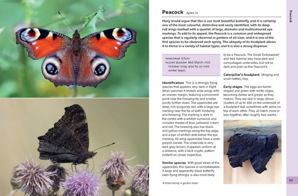 Produktbild: RSPB Butterflies of the British Isles