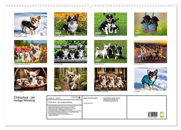 Produktbild: Chihuahua - der mutige Winzling (Wandkalender 2026 DIN A2 quer), CALVENDO Monatskalender