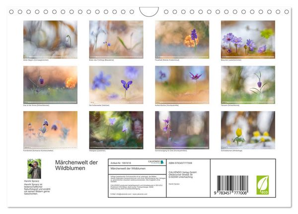 Produktbild: M&auml;rchenwelt der Wildblumen (Wandkalender 2026 DIN A4 quer), CALVENDO Monatskalender