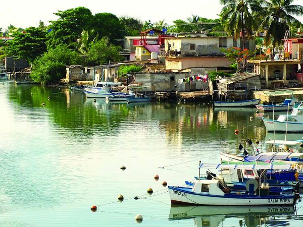 Produktbild: Cuba: The Cookbook