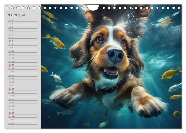 Produktbild: Chiens : les nageurs intr&eacute;pides (Calendrier mural 2026 DIN A4 vertical), CALVENDO calendrier mensuel