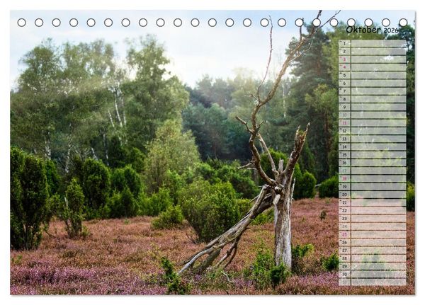 Produktbild: Heidespaziergang (Tischkalender 2026 DIN A5 quer), CALVENDO Monatskalender