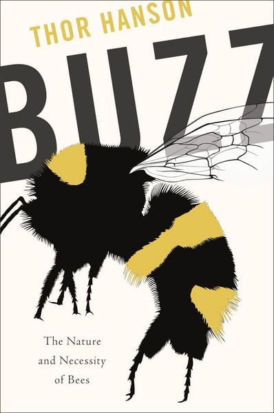 Produktbild: Buzz