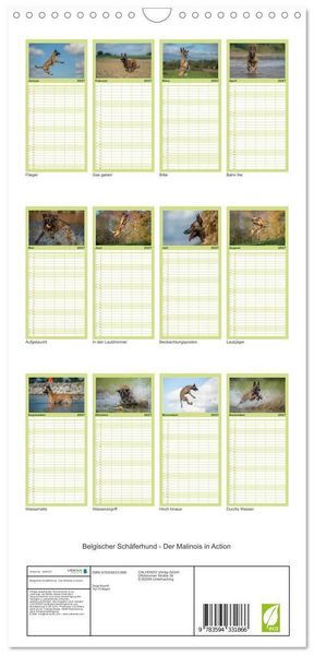 Produktbild: Familienplaner 2027 - Belgischer Sch&auml;ferhund - Der Malinois in Action mit 5 Spalten (Wandkalender, 21 x 45 cm) CALVENDO