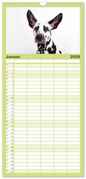 Produktbild: Familienplaner 2026 - SCHLAPPOHREN mit 5 Spalten (Wandkalender, 21 x 45 cm) CALVENDO