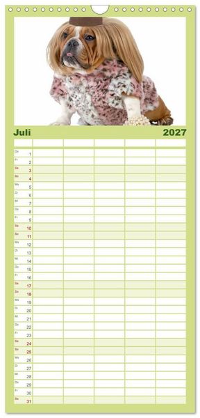 Produktbild: Familienplaner 2027 - English Bulldog XXL Models mit 5 Spalten (Wandkalender, 21 x 45 cm) CALVENDO