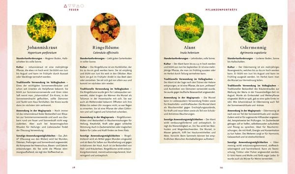 Produktbild: Magie im Hexengarten – Gärtnern mit grüner Magie
