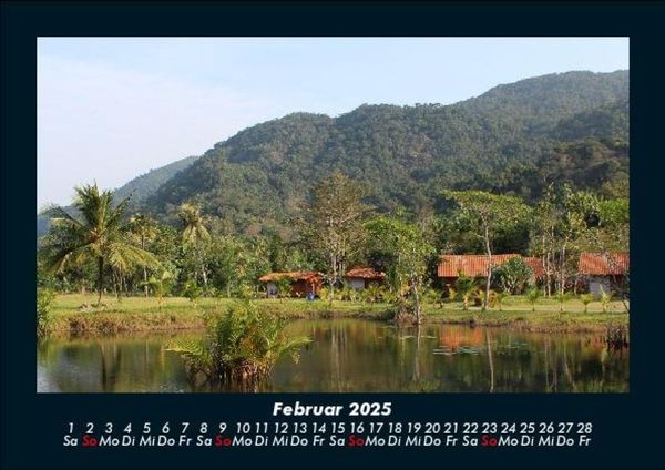 Produktbild: Pflanzen und Bl&uuml;ten 2025 Fotokalender DIN A5