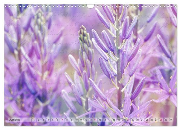 Produktbild: Vintage Nature - Romantische Naturaufnahmen (Wandkalender 2026 DIN A3 quer), CALVENDO Monatskalender
