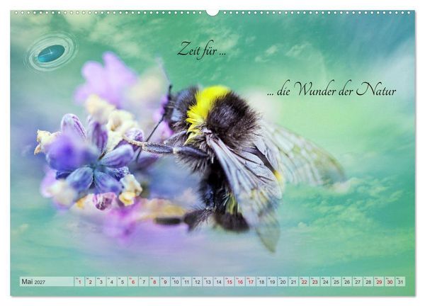 Produktbild: Alles hat seine Zeit - Mach Deine kleine Welt perfekt (hochwertiger Premium Wandkalender 2027 DIN A2 quer), Kunstdruck in Hochglanz