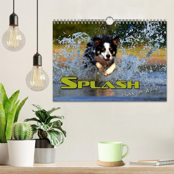 Produktbild: SPLASH - Hunde im Wasser (Wandkalender 2026 DIN A4 quer), CALVENDO Monatskalender