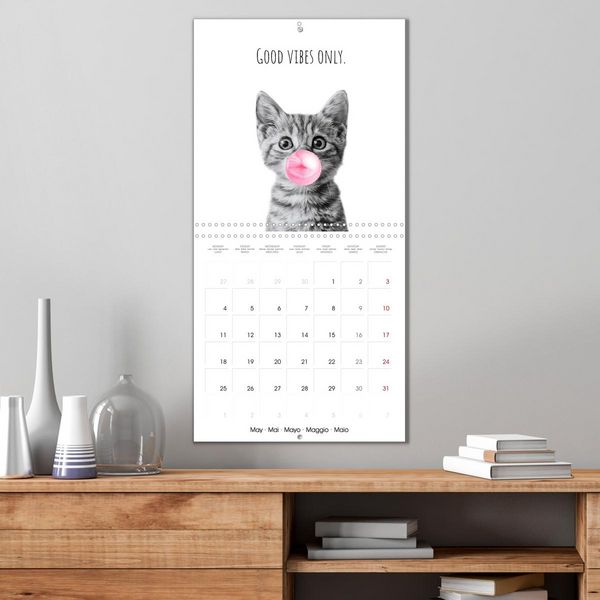 Produktbild: Purrfectly Cool Cats (Wall Calendar 2026 12 &times; 12 Inch) CALVENDO 12 Month Wall Calendar