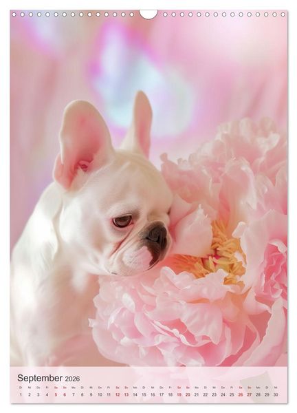 Produktbild: Bulldoggen (Wandkalender 2026 DIN A3 hoch), CALVENDO Monatskalender