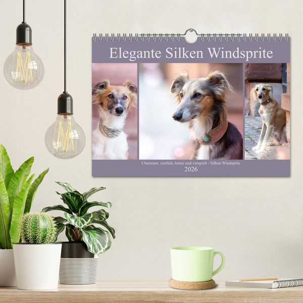 Produktbild: Elegante Silken Windsprite (Wandkalender 2026 DIN A4 quer), CALVENDO Monatskalender
