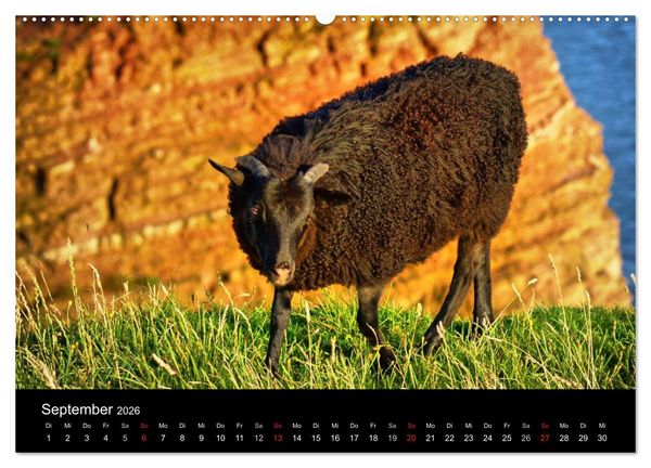 Produktbild: Abend in Helgoland (hochwertiger Premium Wandkalender 2026 DIN A2 quer), Kunstdruck in Hochglanz