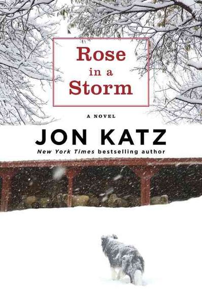 Produktbild: Rose in a Storm