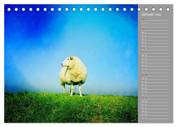 Produktbild: AUF DEM DEICH (Tischkalender 2026 DIN A5 quer), CALVENDO Monatskalender