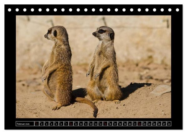 Produktbild: Dresdner Zootiere 2026 (Tischkalender 2026 DIN A5 quer), CALVENDO Monatskalender