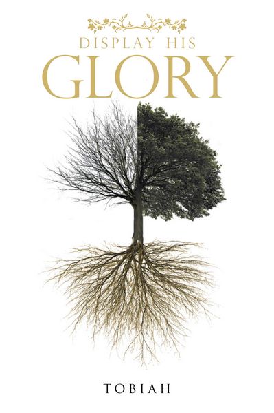 Produktbild: Display His Glory